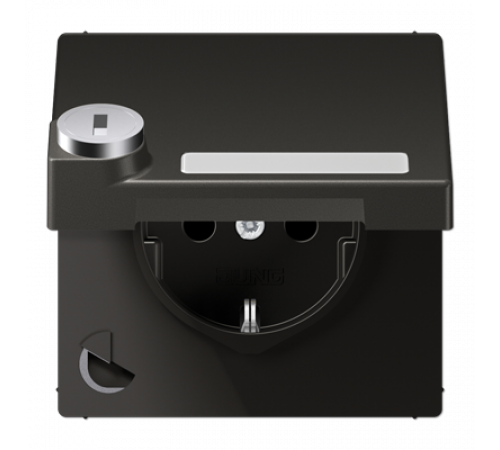Розетка Schuko с крышкой Jung AL1520NAKLSLAN
