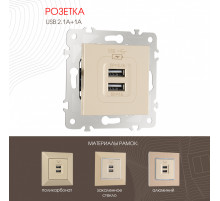 Розетка USB 2.1А+1А Arte Milano 203.46-1.shampan