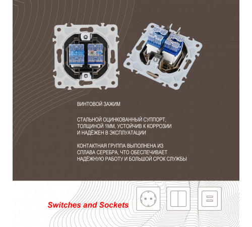 Розетка телефонная RJ11 + компьютерная RJ45 Arte Milano 206.44-1.shampan Розетка телефонная RJ11 + компьютерная RJ45 Arte Milano 206.44-1.shampan