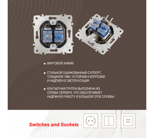 Розетка телефонная RJ11 + компьютерная RJ45 Arte Milano 205.44-1.shampan Розетка телефонная RJ11 + компьютерная RJ45 Arte Milano 205.44-1.shampan