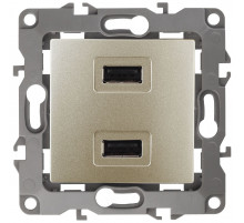 Розетка USB Эра 12-4110-04 Б0027494