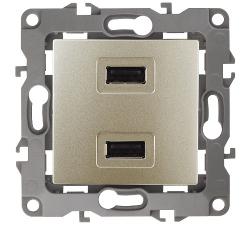Розетка USB Эра 12-4110-04 Б0027494