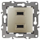 Розетка USB Эра 12-4110-04 Б0027494