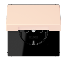 Розетка 2K+З с крышкой Jung LC1520BFKL226