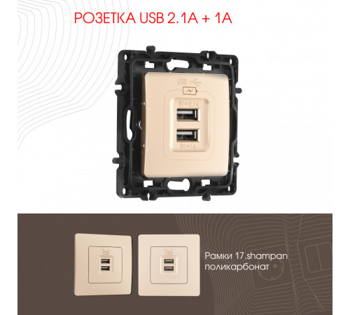 Розетка USB 2.1А+1А Arte Milano 217.46-1.shampan Розетка USB 2.1А+1А Arte Milano 217.46-1.shampan