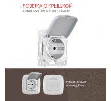 Розетка с заземлением, шторками и защитной крышкой Arte Milano 205.41-1.silver