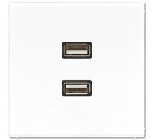 Розетка USB Jung MALS1153WW