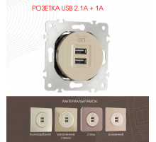 Розетка USB 2.1А+1А Arte Milano 202.46-1.shampan