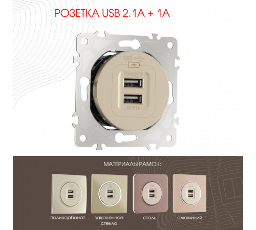 Розетка USB 2.1А+1А Arte Milano 202.46-1.shampan Розетка USB 2.1А+1А Arte Milano 202.46-1.shampan