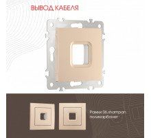 Вывод кабеля Arte Milano 206.49-1.shampan