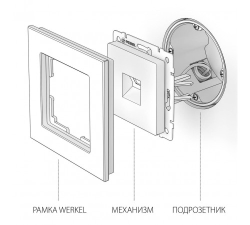 Розетка Ethernet RJ-45 Werkel глянцевый никель W1181002 4690389158247 Розетка Ethernet RJ-45 Werkel глянцевый никель W1181002 4690389158247