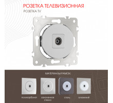 Розетка TV Arte Milano 202.43-1.silver