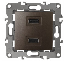 Розетка USB Эра 12-4110-13 Б0027498