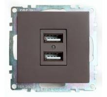 Розетка USB 2-местная Stekker Катрин GLS10-7115-04 49027