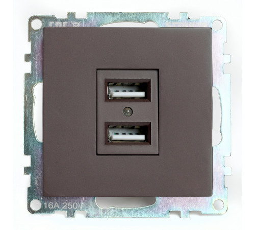 Розетка USB 2-местная Stekker Катрин GLS10-7115-04 49027 Розетка USB 2-местная Stekker Катрин GLS10-7115-04 49027