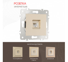 Розетка RJ45 Arte Milano 203.45-1.shampan