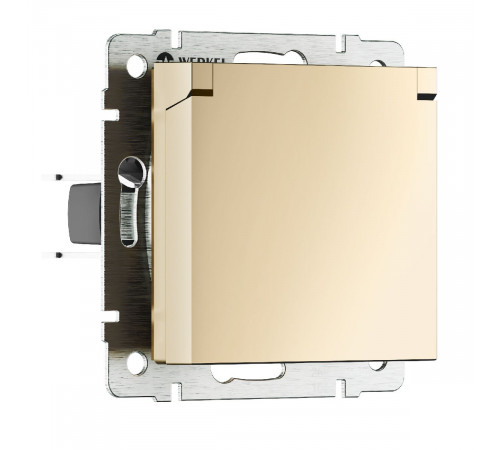Розетка с защитной крышкой Werkel 4690389212871 W1171211 a069581 Розетка с защитной крышкой Werkel 4690389212871 W1171211 a069581