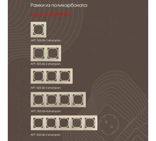 Розетка RJ45 Arte Milano 206.45-1.shampan