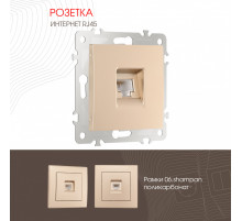 Розетка RJ45 Arte Milano 206.45-1.shampan