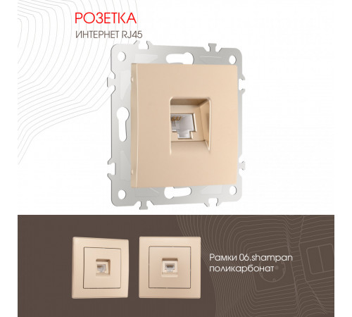 Розетка RJ45 Arte Milano 206.45-1.shampan