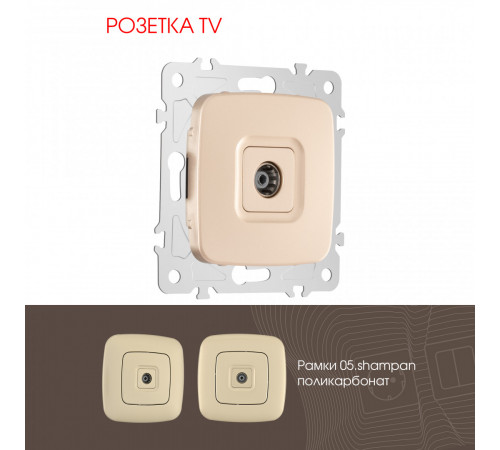 Розетка TV Arte Milano 205.43-1.shampan Розетка TV Arte Milano 205.43-1.shampan