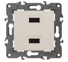 Розетка USB Эра 14-4110-02 Б0034359