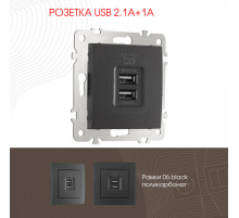 Розетка USB 2.1А+1А Arte Milano 206.46-1.black