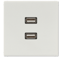 Розетка USB Jung MALS1153LG