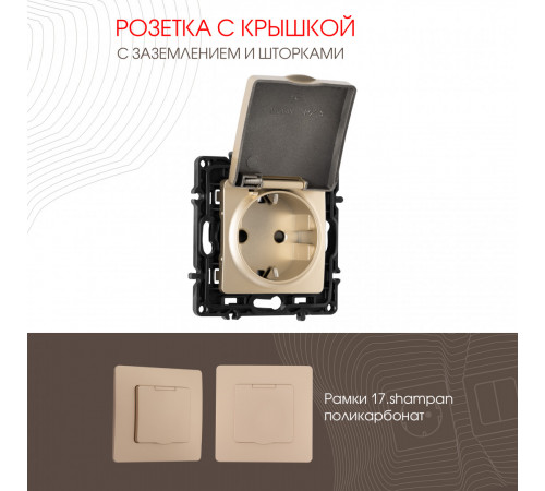 Розетка с заземлением, шторками и защитной крышкой Arte Milano 217.41-1.shampan Розетка с заземлением, шторками и защитной крышкой Arte Milano 217.41-1.shampan