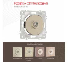 Розетка спутниковая SAT TV Arte Milano 202.42-1.shampan