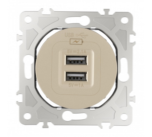 Розетка USB 2.1А+1А Arte Milano 202.46-1.shampan Розетка USB 2.1А+1А Arte Milano 202.46-1.shampan