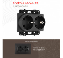 Розетка двойная с заземлением Arte Milano 217.40-2.black