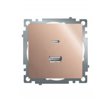 Розетка 2-местная USB + type C Stekker Катрин GLS10-7116-02 50056