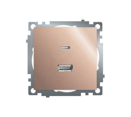 Розетка 2-местная USB + type C Stekker Катрин GLS10-7116-02 50056 Розетка 2-местная USB + type C Stekker Катрин GLS10-7116-02 50056