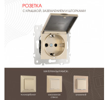 Розетка с заземлением, шторками и защитной крышкой Arte Milano 203.41-1.shampan