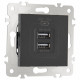 Розетка USB 2.1А+1А Arte Milano 203.46-1.black