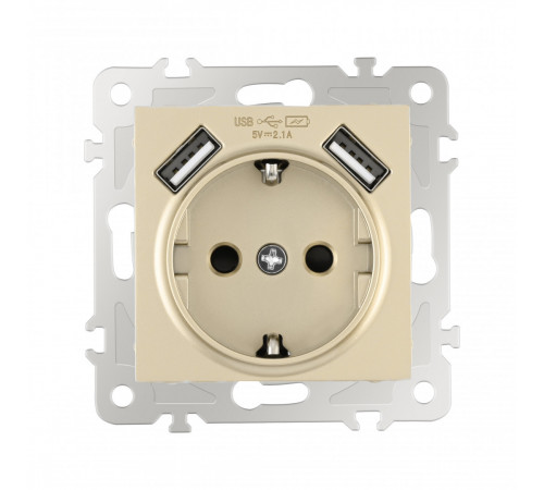 Розетка с заземлением, шторками + 2 USB Arte Milano 206.47-1.shampan Розетка с заземлением, шторками + 2 USB Arte Milano 206.47-1.shampan