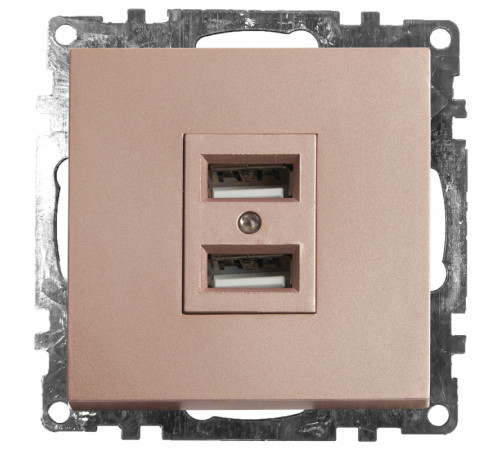 Розетка USB 2-местная Stekker Катрин 39602 Розетка USB 2-местная Stekker Катрин 39602