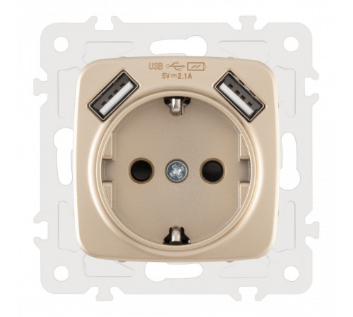 Розетка с заземлением, шторками + 2 USB Arte Milano 205.47-1.shampan Розетка с заземлением, шторками + 2 USB Arte Milano 205.47-1.shampan