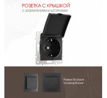 Розетка с заземлением, шторками и защитной крышкой Arte Milano 206.41-1.black