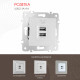 Розетка USB 2.1А+1А Arte Milano 203.46-1.silver