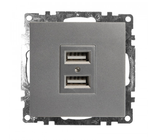 Розетка USB 2-местная Stekker Катрин 39588 Розетка USB 2-местная Stekker Катрин 39588