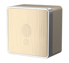 Вывод кабеля Werkel Gallant шампань рифленый W5050210 4690389164323