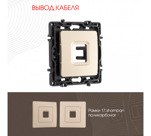 Вывод кабеля Arte Milano 217.49-1.shampan Вывод кабеля Arte Milano 217.49-1.shampan