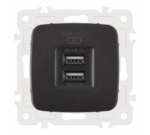 Розетка USB 2.1А+1А Arte Milano 205.46-1.black Розетка USB 2.1А+1А Arte Milano 205.46-1.black