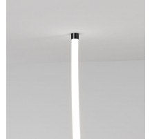 Крепления для гибкого неона Elektrostandard Full light FL 2820 черный 4690389195990 a063437