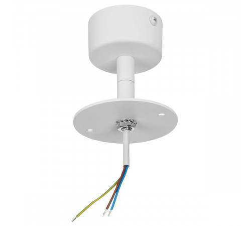 Потолочное крепление Lightstar Rullo 590106
