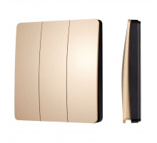 Кнопочная панель Arlight KINETIC-801-22-3G-WP-SUF Gold (No battery, IP67, 433Mhz) 051677
