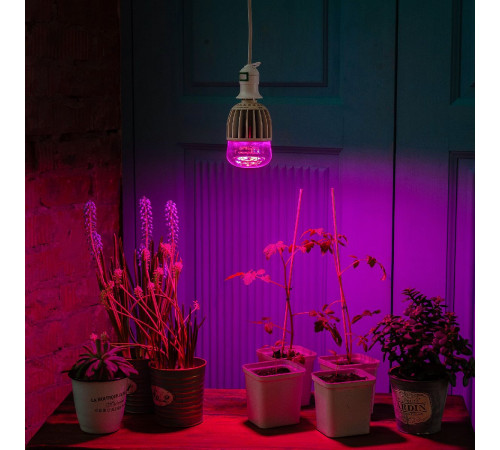 Лампа светодиодная для растений (11098) Uniel E27 20W прозрачная LED-M80-20W/SP/E27/CL ALS55WH Лампа светодиодная для растений (11098) Uniel E27 20W прозрачная LED-M80-20W/SP/E27/CL ALS55WH