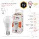 Лампа светодиодная Эра E27 19W 2700K LED A65-19W-827-E27 Б0031702